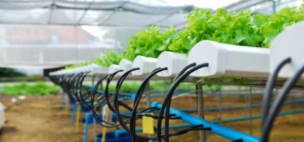 Propagation Lights