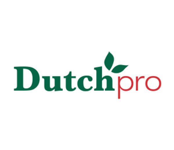 Dutch Pro