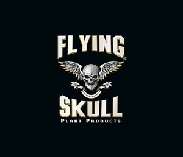 Flying Skull