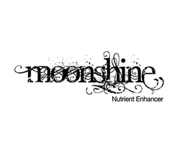 Moonshine