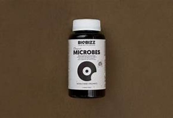 BioBizz Microbes 150g