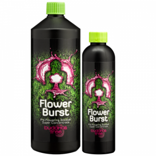Flower Burst