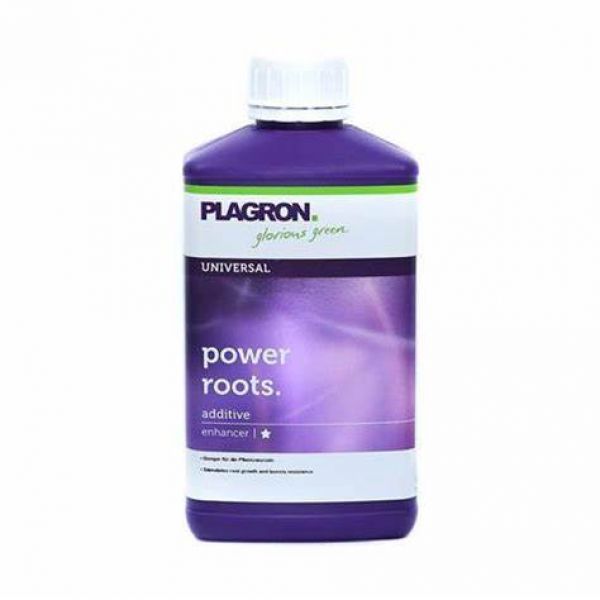 Power Roots