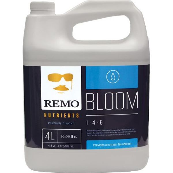 Remo Bloom