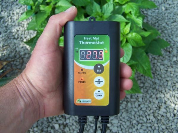 Thermostat For X-Stream Propogator