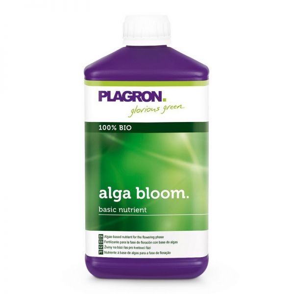 Alga Bloom