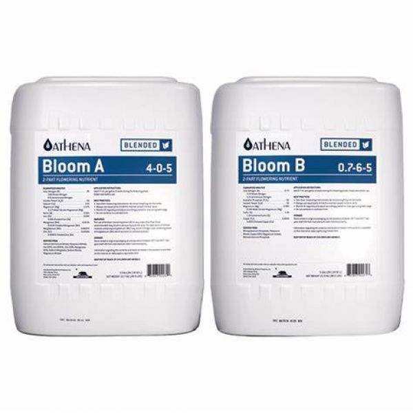 Athena Bloom AB 4ltr