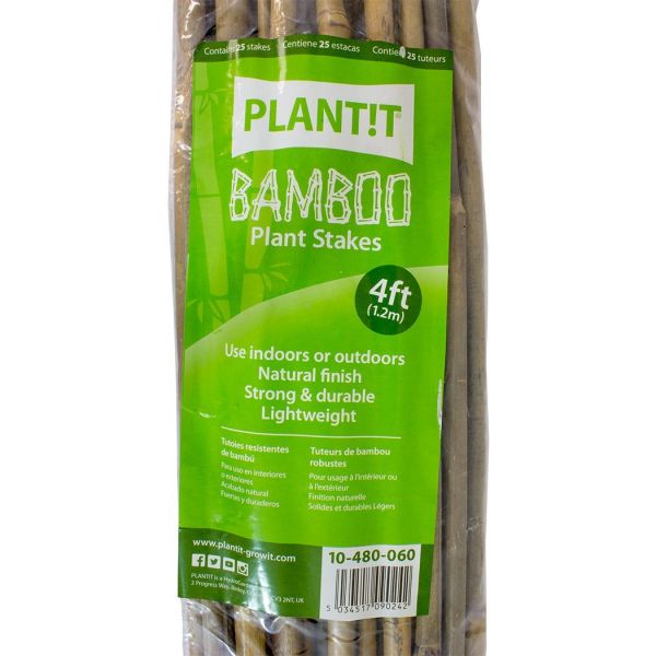 Bamboo Sticks 120cm x 25