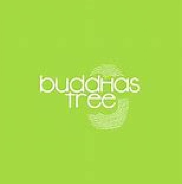 Buddha Tree Kit