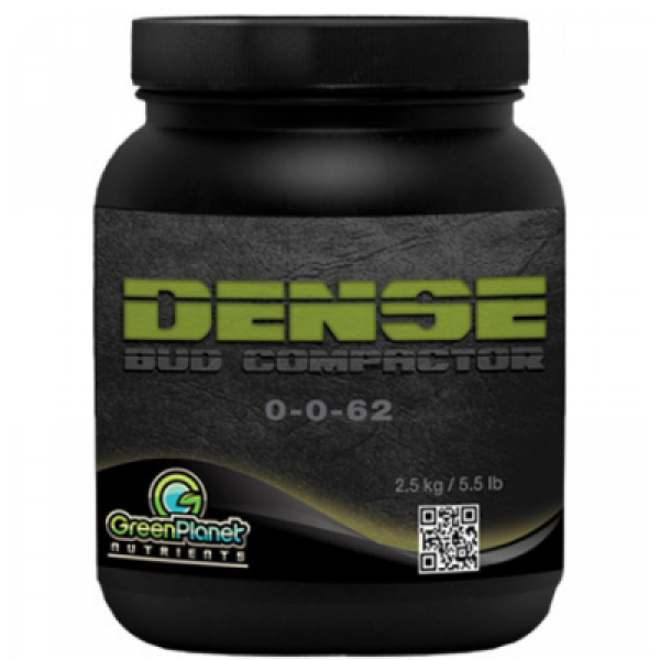 Dense 500g