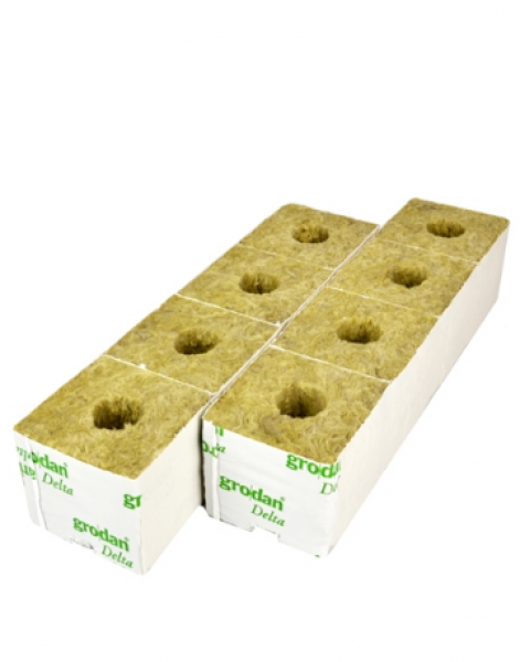 Growdan 3" Rockwool Cubes