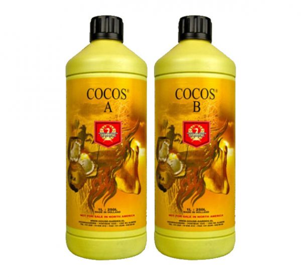 H&G Coco A&B