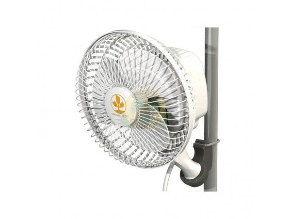 Oscillating 20w Monkey Fan