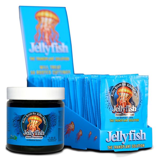Plant Success Jellyfish