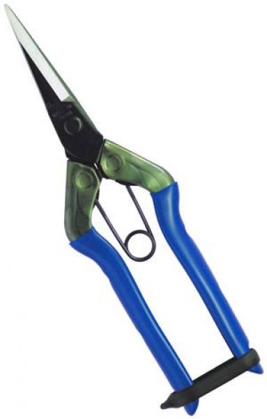 Pruning Scissors