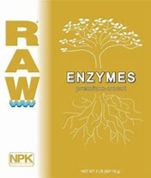 Raw Enzyme