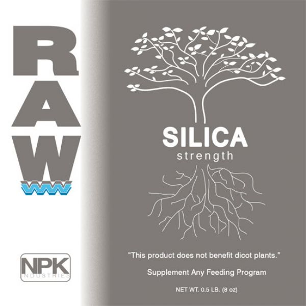 Raw Silica
