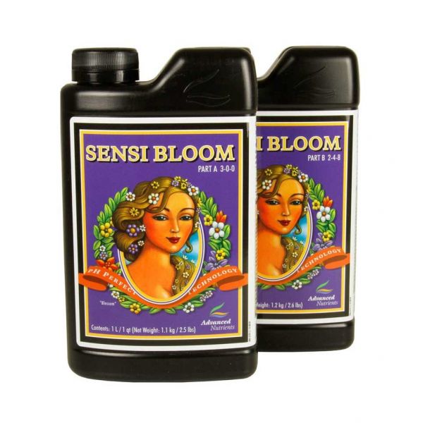 Sensi Bloom