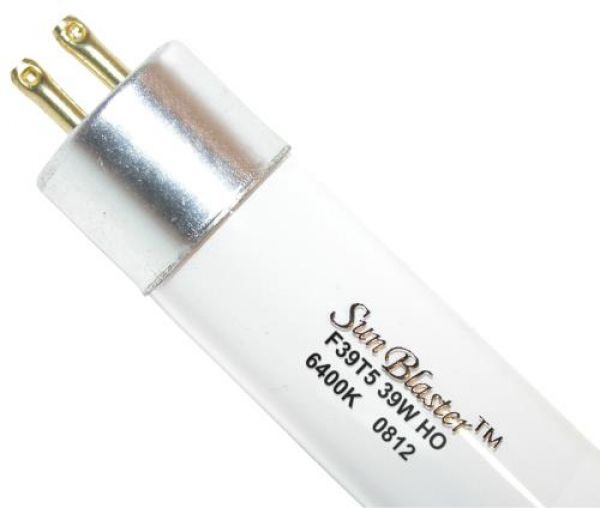 T5 SunBlaster Bulbs 6400k